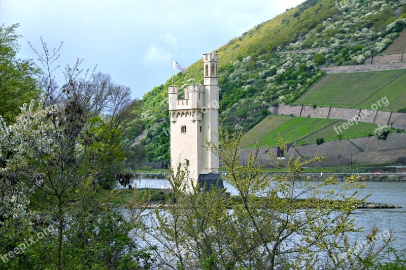 Mouse Tower Bingen Am Rhein Nature Waters Landscape