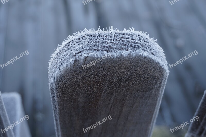 Fence Lath Winter Cold Nature Frost