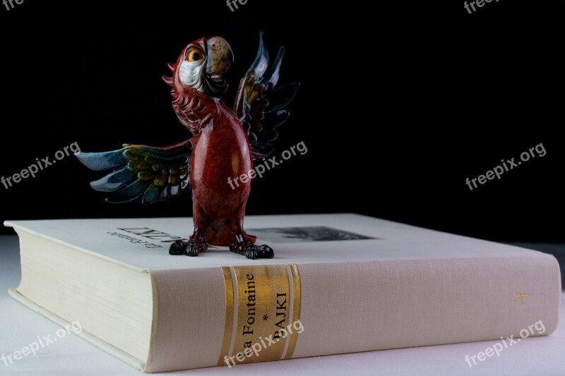 Book Parrot Ornament Reading A Fairy Tale