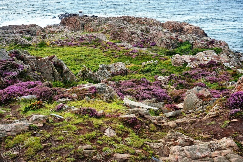 Coast Sea Waters Nature Ocean