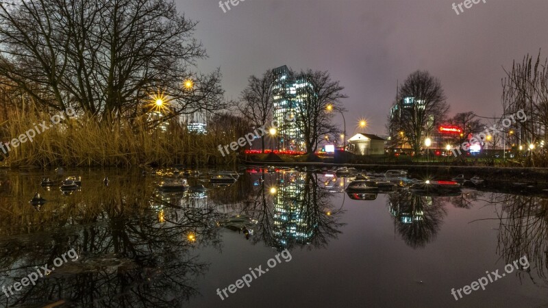 Winter Tree City Reflection Evening