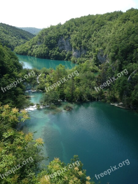 Water Nature River Travel Tree