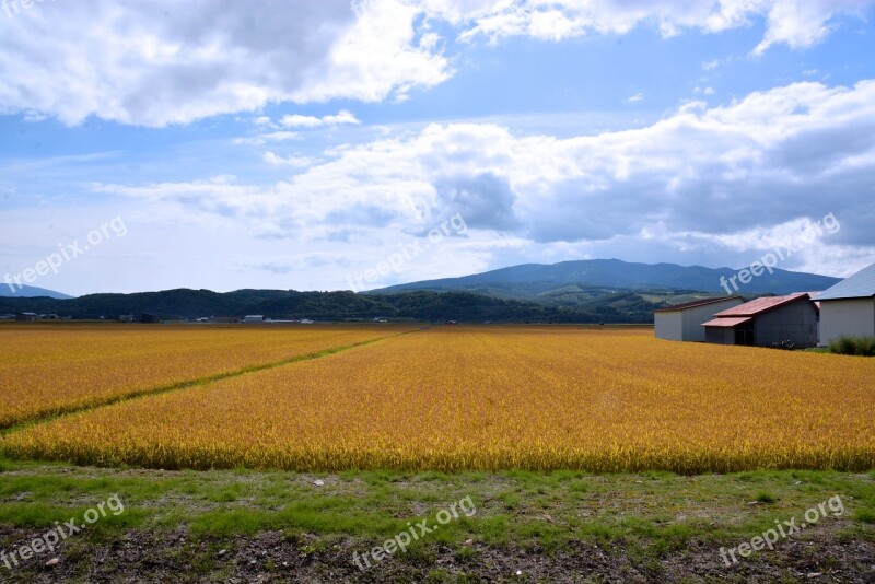 The Agricultural Commercial Companies Field Landscape Farm Hokkaido