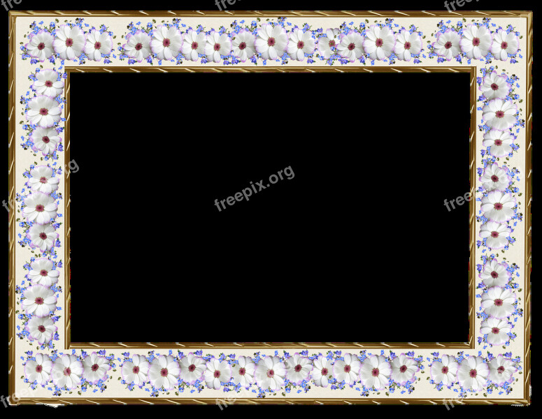 Picture Frame Empty Margin Ornate Blank