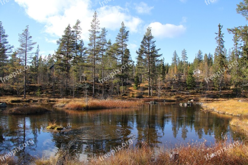 Autumn Telemark Norway Tindefjell Norway The Nature Of The