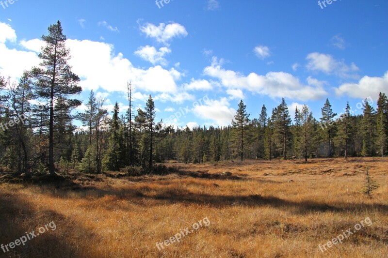 Autumn Telemark Norway Tindefjell Norway The Nature Of The