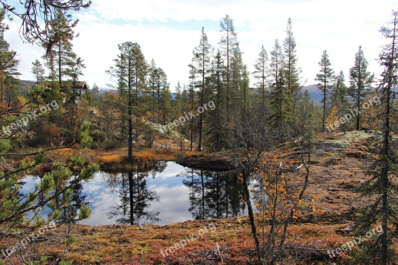 Autumn Telemark Norway Tindefjell Norway The Nature Of The