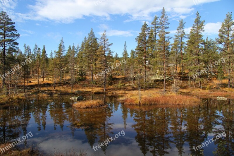 Autumn Telemark Norway Tindefjell Norway The Nature Of The