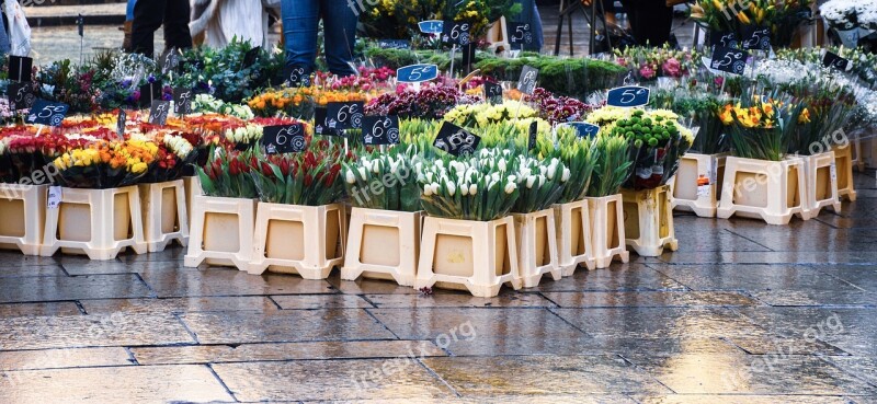 Street Vendor Market Day Street Scene Floral