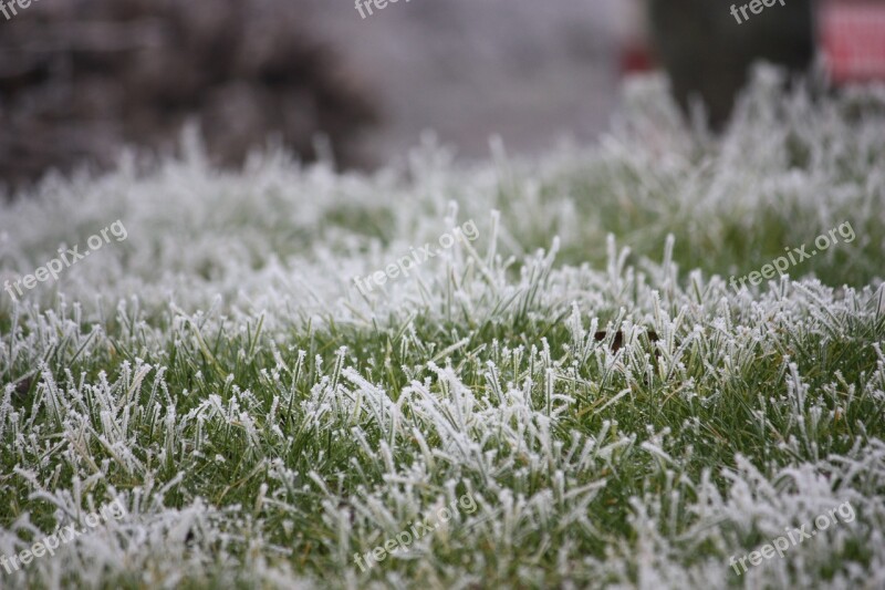 Frost Grass Prairie Cold Morning