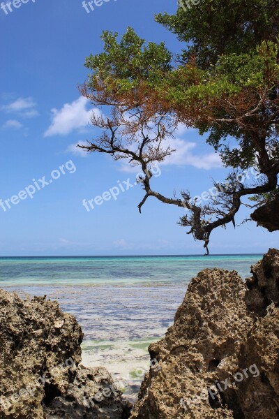 Pemba Island Holiday Vacation Sea Sun