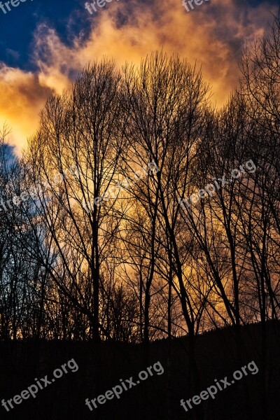 Trees Sunset Landscape Sky Clouds