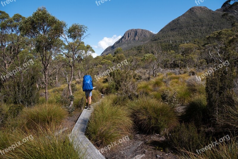 Overland Track Tasmania Nature Wilderness Landscape