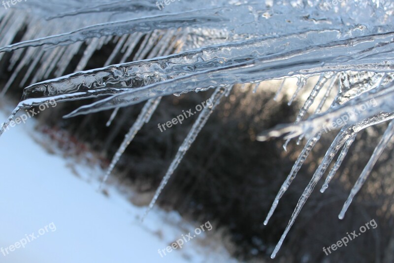 Icicles Winter Cold Roof Blue