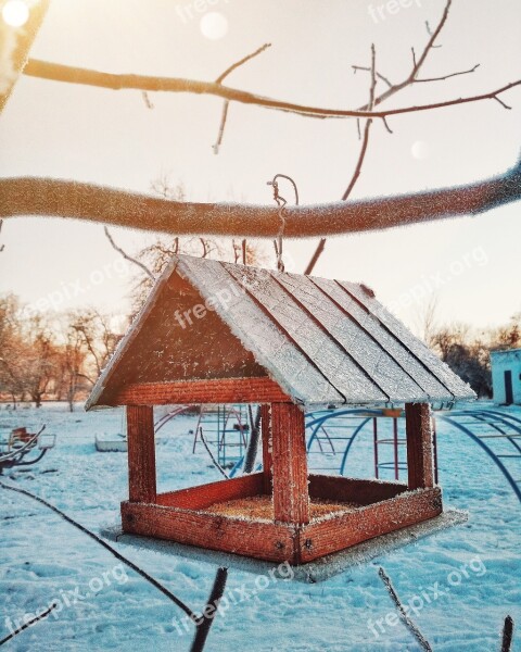 Feeder Birds Winter Frost Free Photos