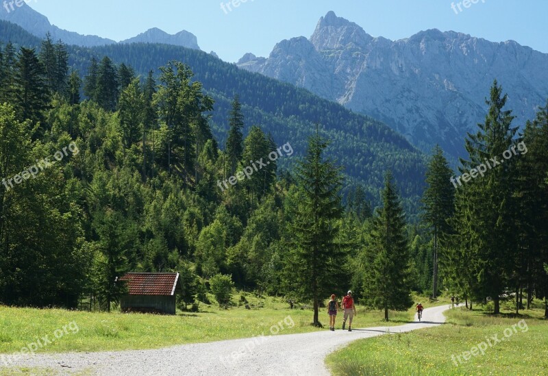 Hiking Mtb Forest Mountains Sunshine