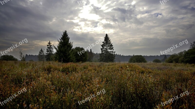 Ardennes Belgium Nature Gloomy Free Photos