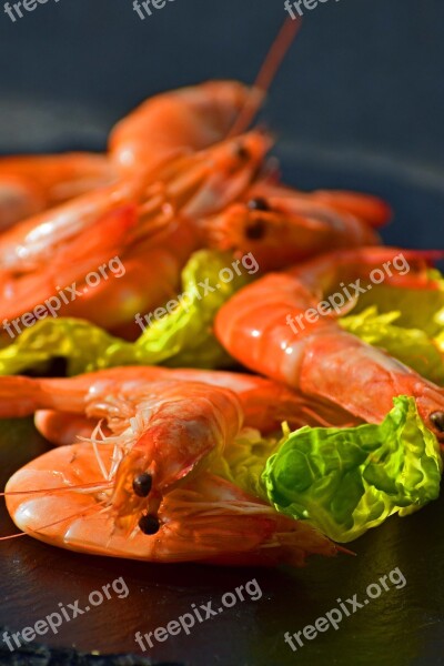 Shrimp Cooked Unpeeled Free Photos