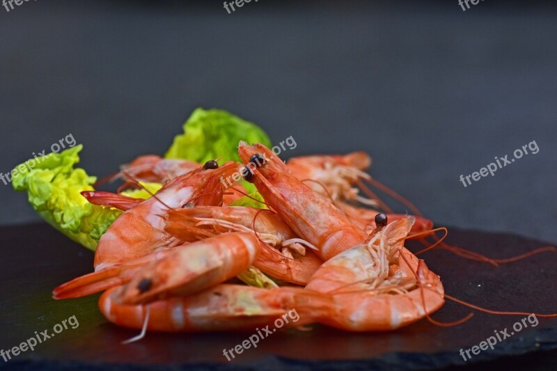 Shrimp Cooked Unpeeled Free Photos