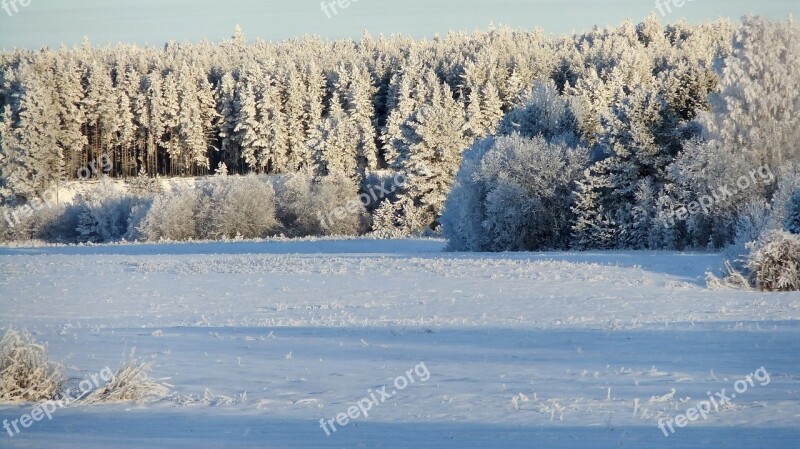 Winter Frost Leann Snow Nature