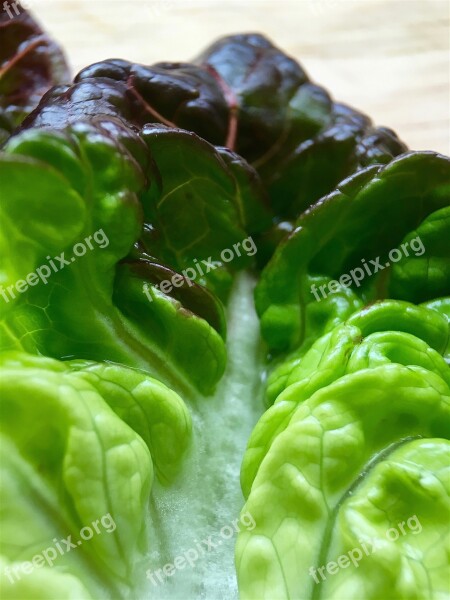 Red Gem Lettuce Red Gem Lettuce Salad Food