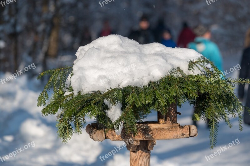 Snow Bird Feeder Aviary Winter Bird