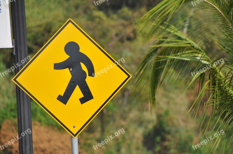 Street Sign Panama Pedestrian Graphic Design Traffic