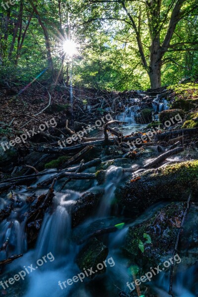 Water Bach Forest Landscape Creek