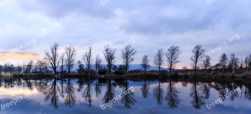 Pond Water Nature Trees Mirroring