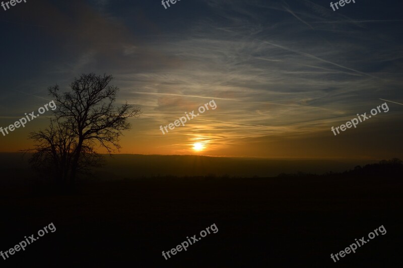 Sunset Sundown Landscape Tree Abendstimmung