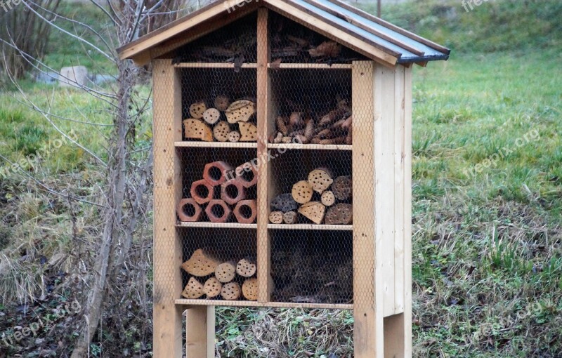 A House For Insects Insect Shelter Beetles Wooden