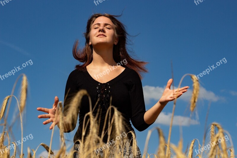 Cornfield Summer Portrait Cereals Nature