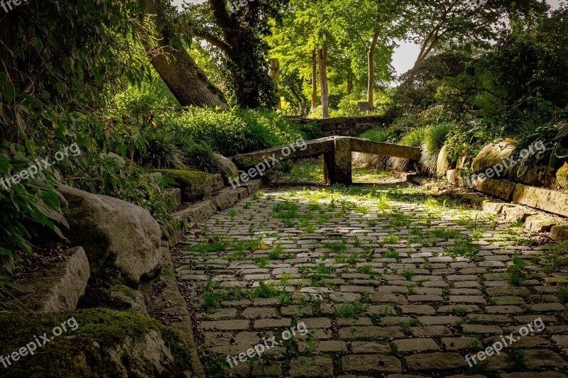 Garden Stone Garden Green Nature Spring