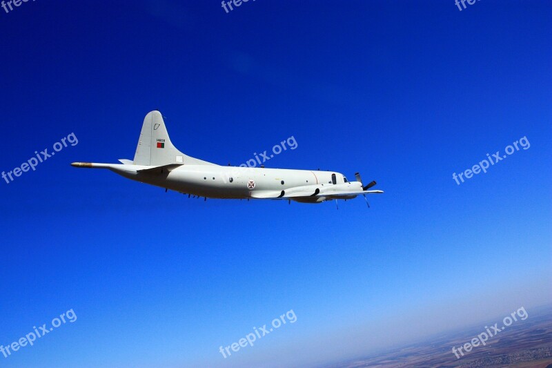 P3 P3orion Airplane Orion Aircraft