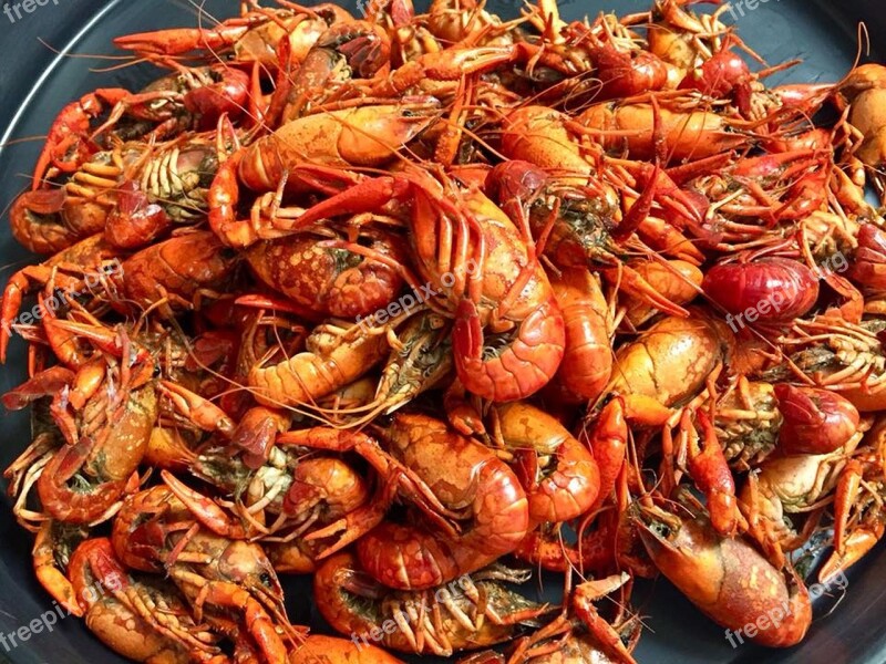 Crawfish Seafood Crayfish Cajun Louisiana