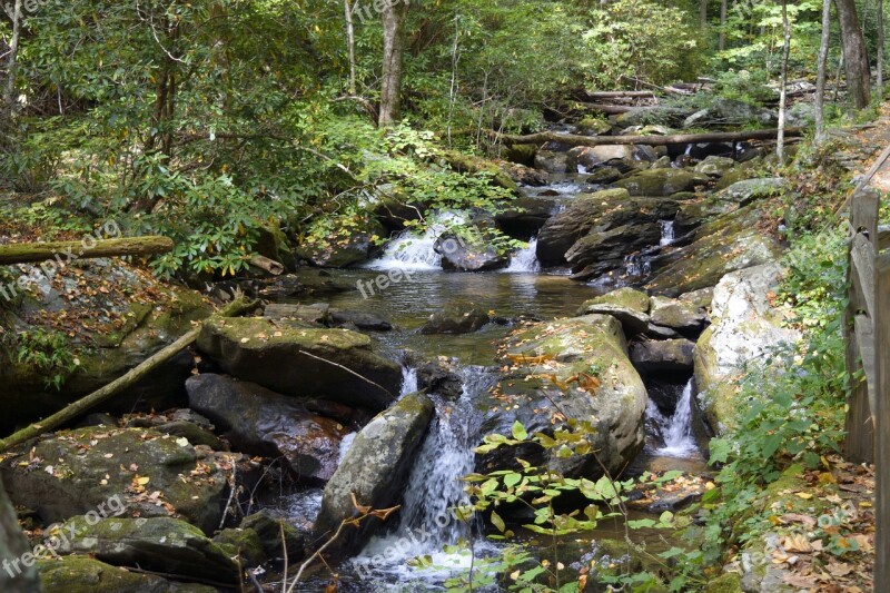 Water Stream Nature River Wood