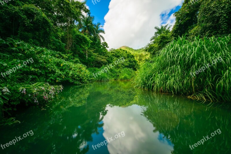 Waters Nature River Tree Landscape