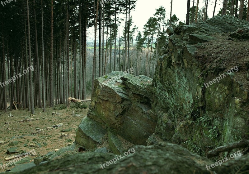 Rocks Ridge Stone Mountains Forest