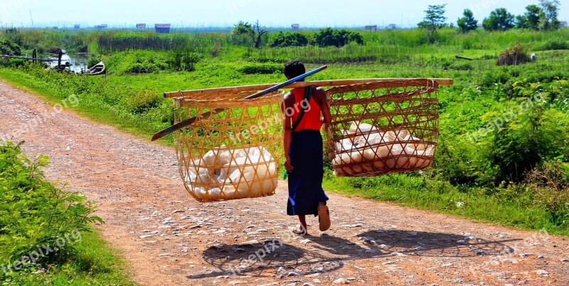 Going Home After Market Nature