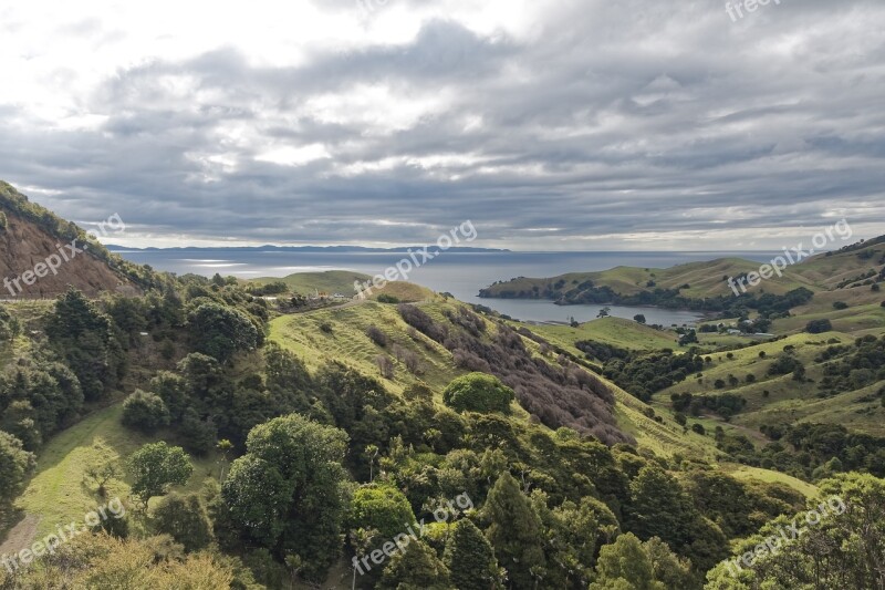 New Zealand Coromandel Nature Panorama Landscape