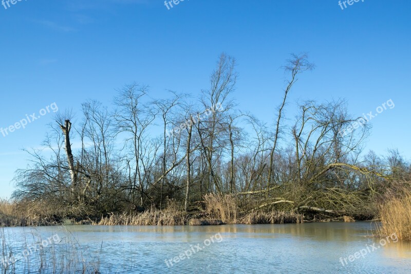 Nature Body Of Water Landscape Outdoor Wood