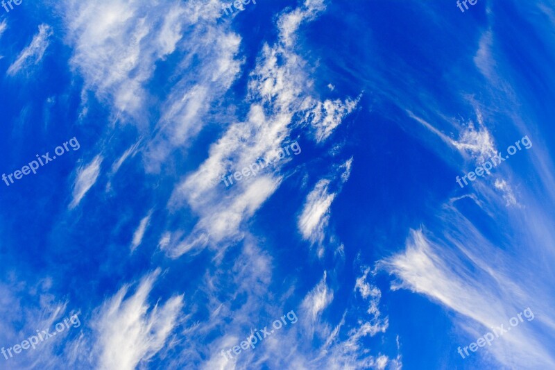 Nature Outdoors Sky Summer Fair Weather