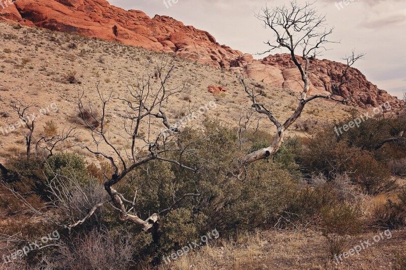 Red Rock Canyon Las Vegas Nevada Desert Nature