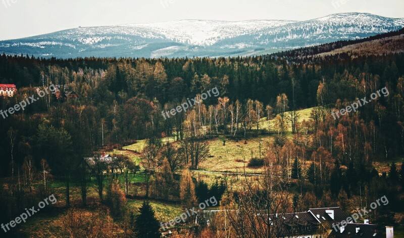 Panoramic Nature Mountain Tree Travel