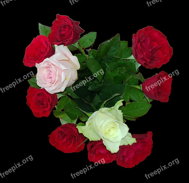 Rose Bouquet Love Give Petal