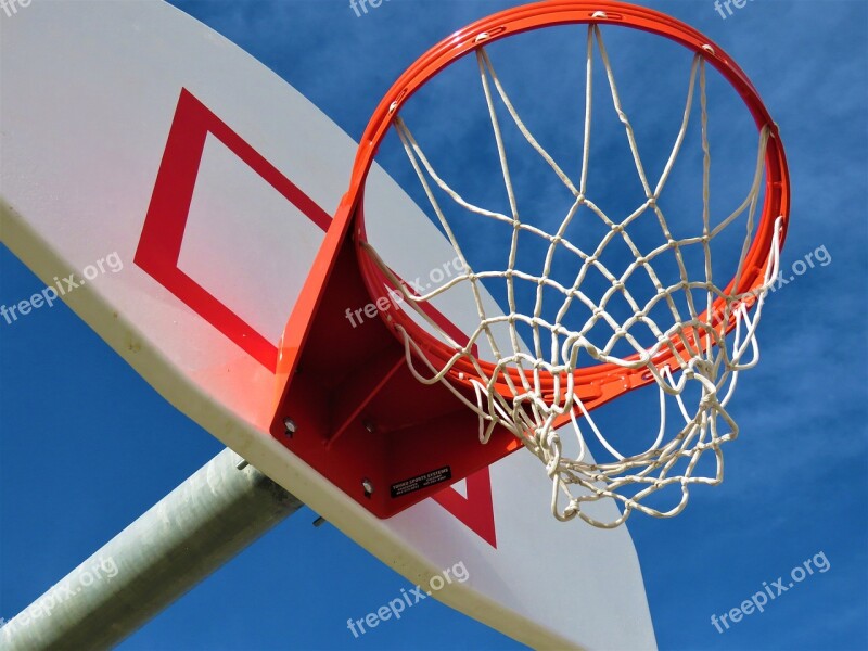 Basketball Sport Basket Ball Basketball Hoop