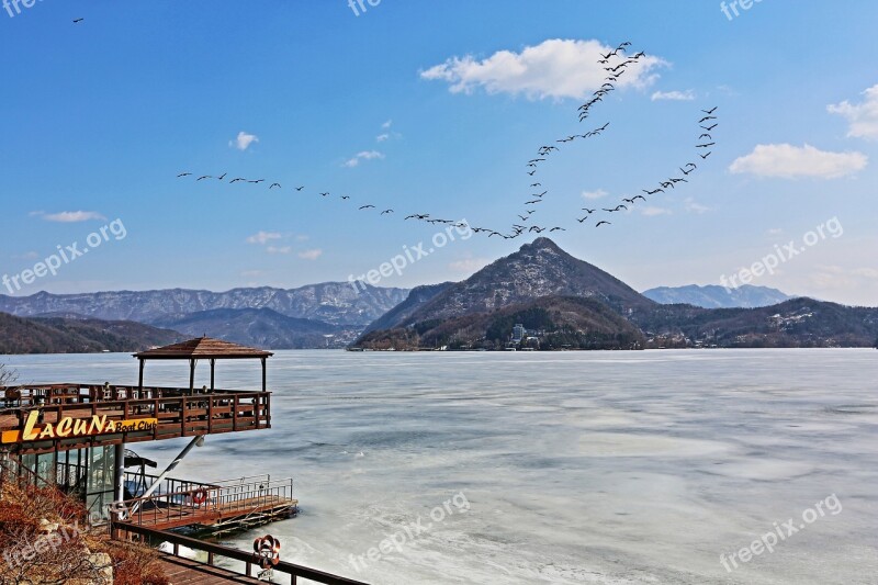 North Han River Winter Migratory Birds Scenery Free Photos