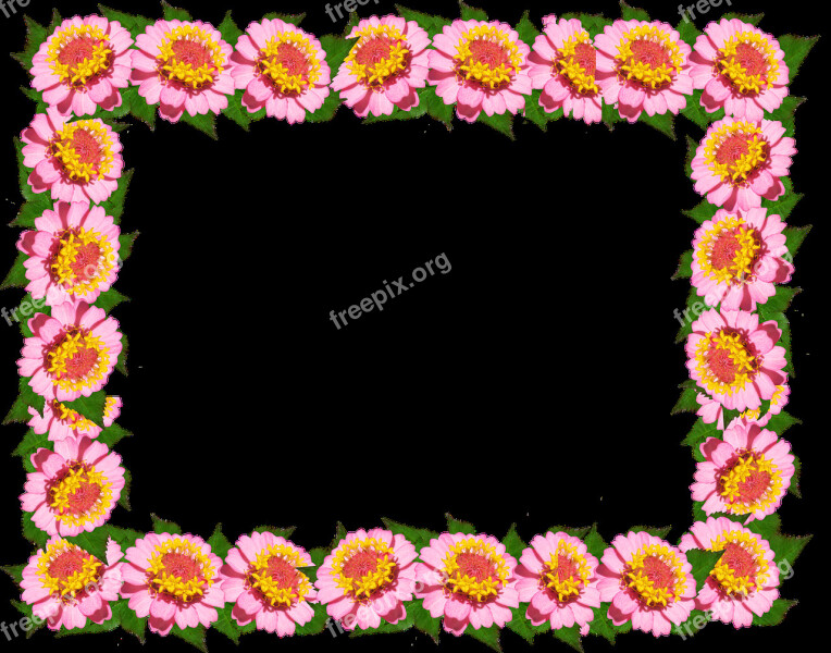 Frame Border Pink Floral Decoration Free Photos