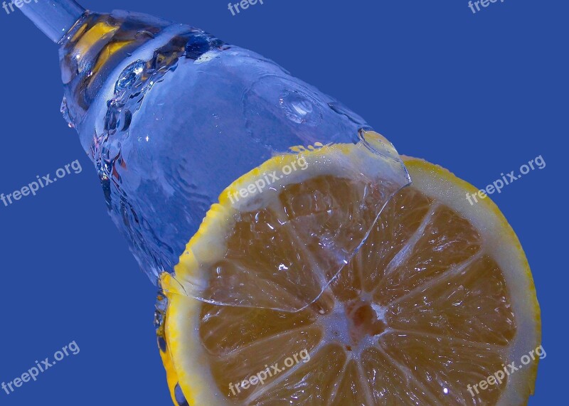 Drink Citrus Fruit Disc Moist Blue