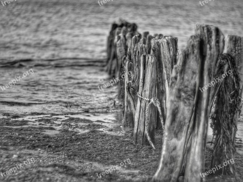 Waters Black And White Photography Ocean Beach Coast